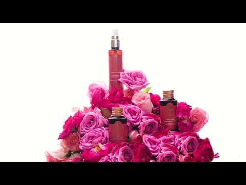 Sagar SoulTree Br...