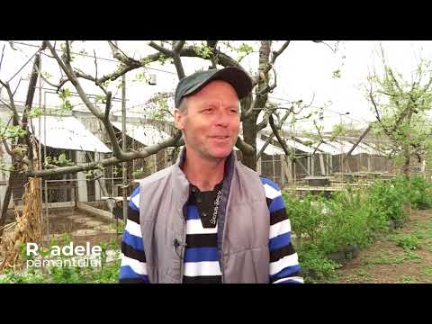 🦚 În Humulești, jud. Neamț, există o gospodărie unde cresc aproape 700 de păsări din 27 de specii