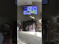 Opening To SpongeBob SquarePants Nautical Nonsense 2002 VHS