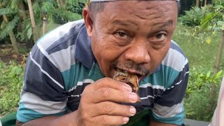 Download lagu Membuat seluruh desa ngiler melihat ikan lele Mang Ihin! mp3