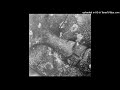 Ruins - Infect