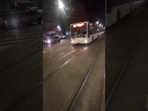 (șofer de treabă) #4489  #viral