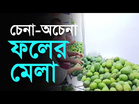 চেনা-অচেনা ফলের মেলা