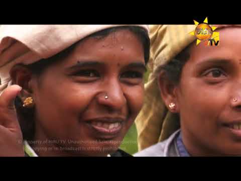Hiru TV