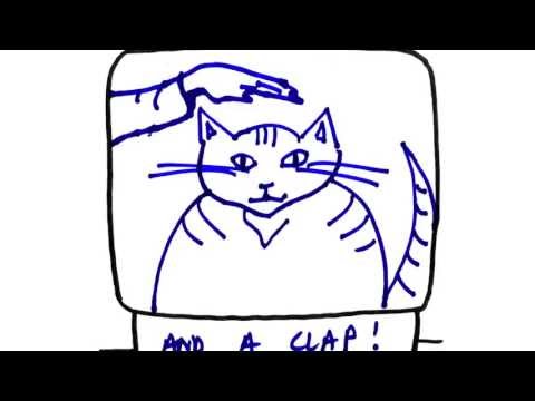 How To Feed My Cat - Dementia Diary Storyboard