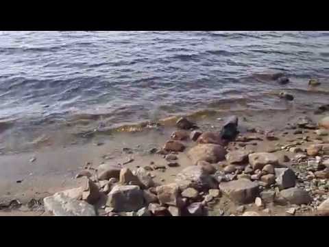 Hyvää huomenta Lieksan Honkalahdesta (Canon) Itä-Suomenkiertue 15072014