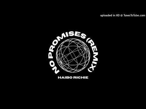 Haibo Richie - No Promises (Remix)