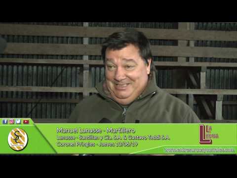 13-06-19 - Manuel Lanusse - Martillero - Cía. La Legua S.A. - C Pringles