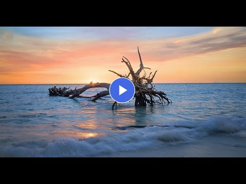 How to edit photos selectively with adjustment layer masks in photoshop