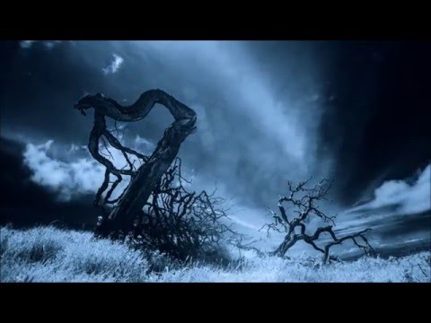 Zebid feat. Format - Suche Drzewa