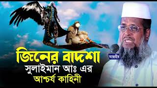 জিনের বাদশা সুলাইমান (আঃ) এর আশ্চর্য  ঘটনা।তোফাজ্জল হোসেন ভৈরবী। tofazzal hossain bhairovi  Waz