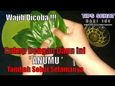 download lagu mp3 mp4 Tips Menarik Hari Ini, download lagu Tips Menarik Hari Ini gratis, unduh video klip Tips Menarik Hari Ini