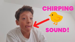 Download lagu Kuasai Suara Kicauan Burung: Tutorial Peluit Panggilan Burung Langkah demi Langkah 🐦 🐤 mp3 Download lagu Kuasai Suara Kicauan Burung: Tutorial Peluit Panggilan Burung Langkah demi Langkah 🐦 🐤 mp3