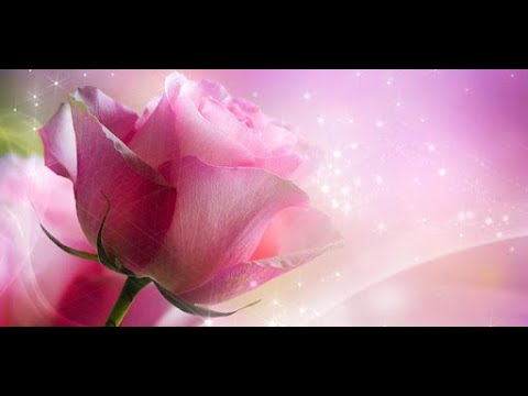 Meditation * BELOVED ELOHIM ORION'S SPIRITUAL ALCHEMY OF DIVINE LOVE!