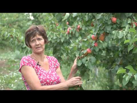 Imamo rešenje ep. 163 18.07.2022. NAJAVA