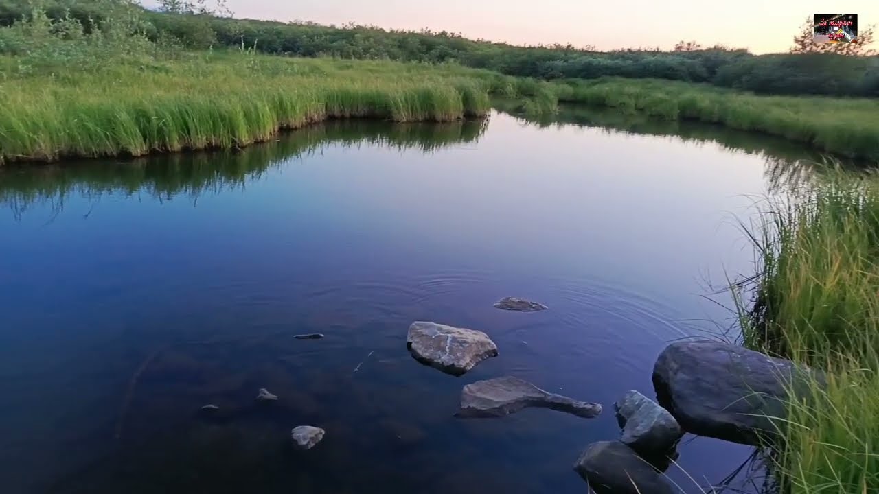 Воркута. 22.07.26. Тундра на закате.