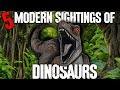 5 Modern Dinosaur Sightings Darkness Prevails