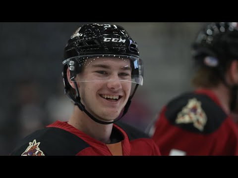 Where Are Arizona Coyotes Prospects Playing This Season?