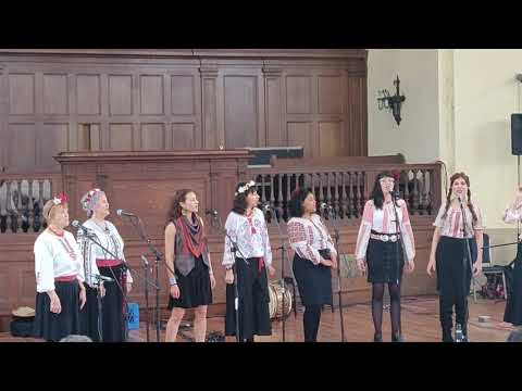 Balkan festival- Svitanya