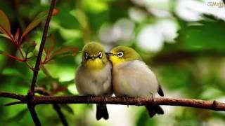 Michael English - Do You Believe in Love (Tradução)