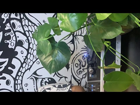 Vinyl Dj Social Club #1 with Ashibah & Kamp