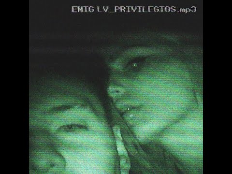 Emig LV - PRIVILEGIOS