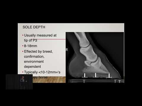 AFA50: Brent Barrett