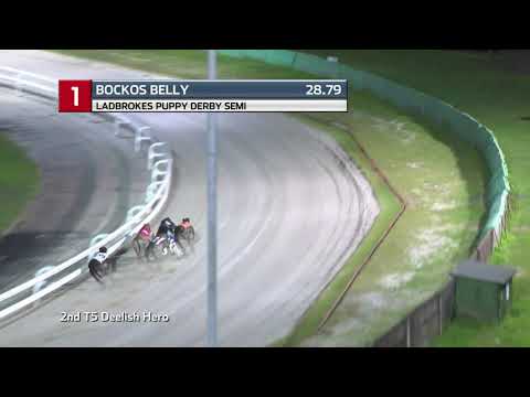 2021 LADBROKES PUPPY DERBY - 2ND SEMI - T1 BOCKOS BELLY