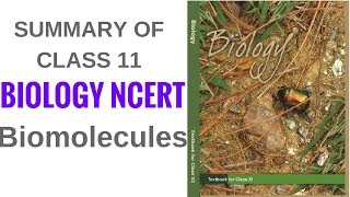 Summary of Class 11 Biology NCERT- Biomolecules