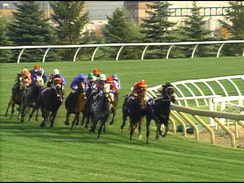 1996 Breeders' Cup Mile