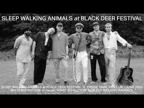 Black Deer Festival 2023 - Sleep Walking Animals Vlog