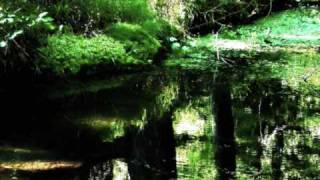 Andru Donalds -  My Place Is Here