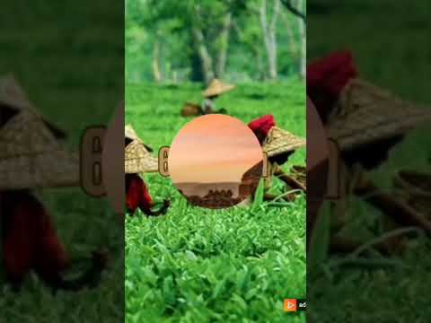 Top 10 most Dangerous states in India | # short #daily shorts # yt shorts # shorts