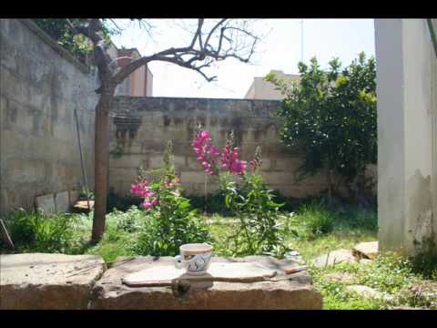 Bermuda acoustic trio - Confortably numb