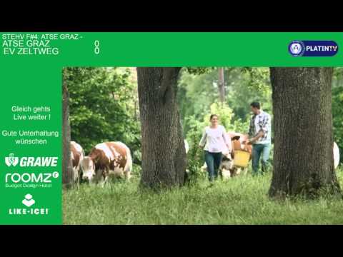 STEHV Finale 4 ATSE Graz - EV Zeltweg