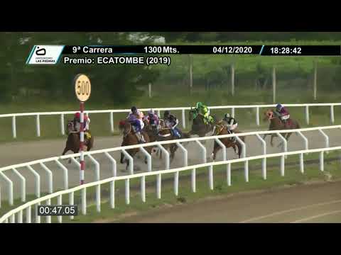 201204 c09 - PATRON-SAINT (BRZ) Arambare y Antera por Doubleroy