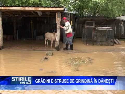 Grădini distruse de grindină în Dănești