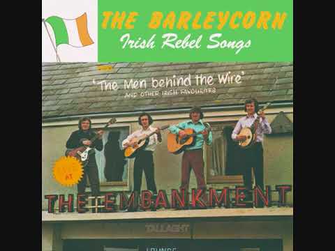 The Barleycorn - Rubber Bullets | Irish Rebel