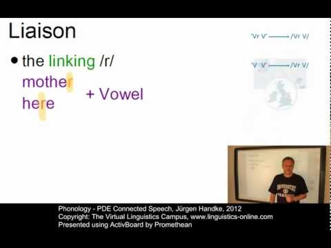 PHY207 - PDE Connected Speech