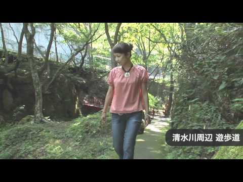 いわての旅さんりく特集：龍泉洞