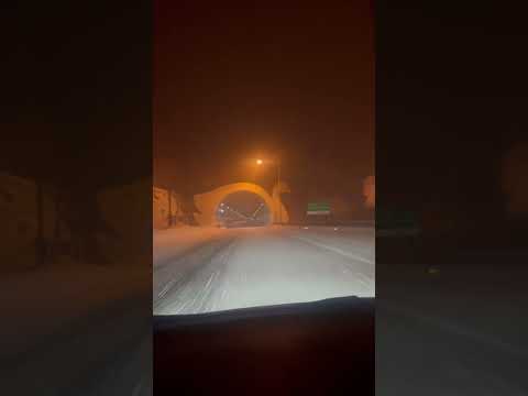 福島の猫魔スキー場❄️良いパウダーでした☃️ #Shorts