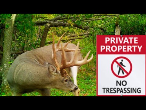 How to Get Permission to Hunt Private Property