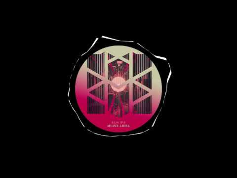 Reaktive - Meine Liebe (Original Mix)