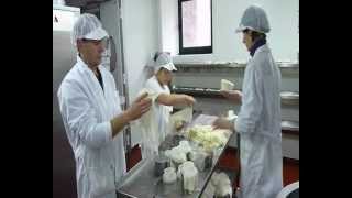 preview picture of video 'Elaboración queso do Cebreiro Sto. André en San Andres de Barredo (Lugo)'