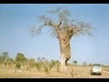 Makuti To Mana Pools Zimbabwe Travel Guide