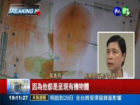 桃機又出包!行李裝活貓運抵韓國