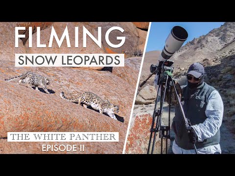 Filming SNOW LEOPARDS in Ladakh | THE WHITE PANTHER with Kenneth Lawrence Ep2 - WILDLIFE PHOTOGRAPHY