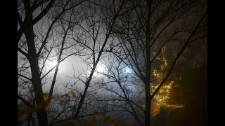 לשרוד על הגובה🏔️▪️כמה רגעים תורה עם הרב נחמנסון ▪️ (שביעי של פסח תשפ"ה) (הערוץ של הרב יהודה לייב נחמנסון) - התמונה מוצגת ישירות מתוך אתר האינטרנט יוטיוב. זכויות היוצרים בתמונה שייכות ליוצרה. קישור קרדיט למקור התוכן נמצא בתוך דף הסרטון