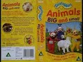 Teletubbies Animals Big Small Vhs
