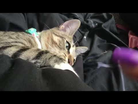 He’s so cute is he but very mad right now